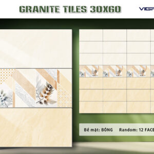 Gạch Ốp tường Ý Mỹ 30x60 GT36B03D