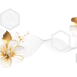 Gạch Ốp tường Ý Mỹ 40x80 HPDY4800D