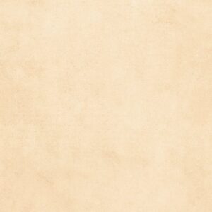 Gạch Lát nền, ốp tường Ý Mỹ 30x60 N365002H