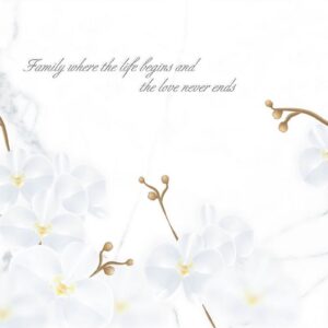 Gạch Ốp tường Ý Mỹ 30x60 N368060R