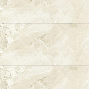 Gạch Lát nền Ý Mỹ 60x120 N61248012R