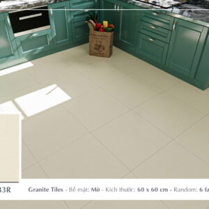 Gạch Lát nền Ý Mỹ 60x60 N65033R