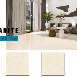 Gạch Lát nền Ý Mỹ 60x60 N68050R