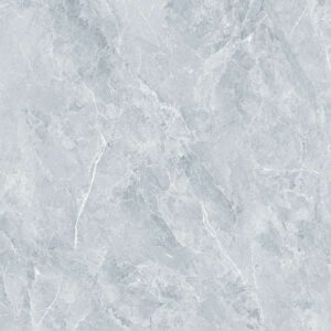 N68068R