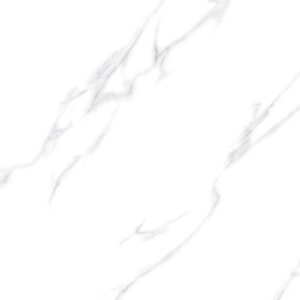 N88007R