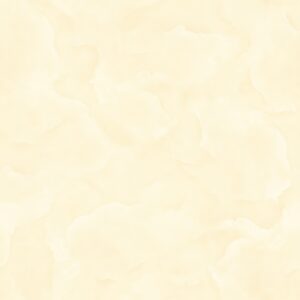 Gạch Lát nền Ý Mỹ 80x80 N88024