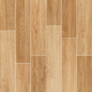 Gạch Lát nền Ý Mỹ 60x60 NT6001