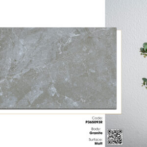 Gạch Lát nền, ốp tường Ý Mỹ 30x60 P365093R