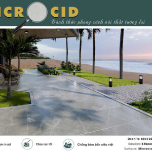 Gạch Lát nền Ý Mỹ 60x120 P61245005RMG