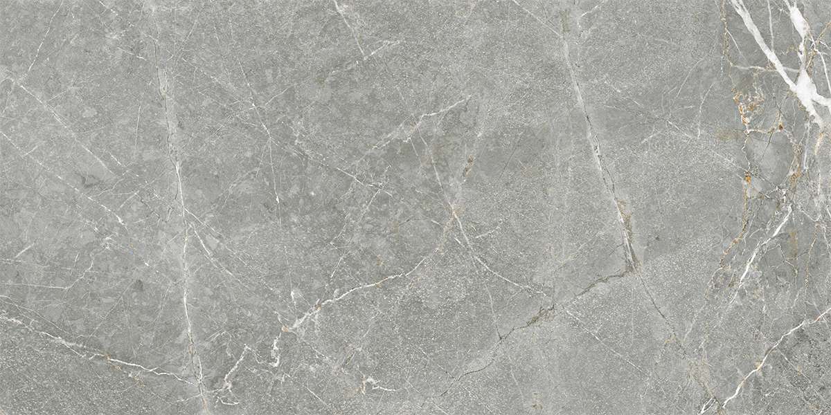 Gạch Lát nền Ý Mỹ 60x120 P61245005RMG - Ảnh 5