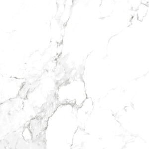 P61248013R
