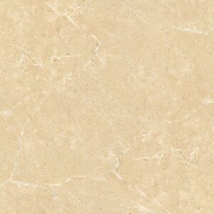 Gạch Lát nền Ý Mỹ 60x120 P6128009