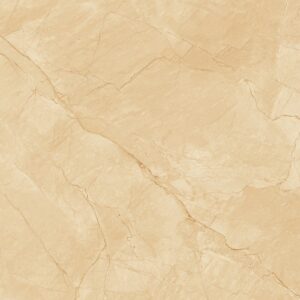 Gạch Lát nền Ý Mỹ 60x120 P6128011C