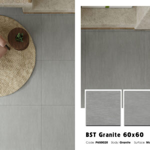 Gạch Lát nền Ý Mỹ 60x60 P65002R