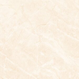 Gạch Lát nền Ý Mỹ 60x60 P65013C