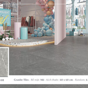 Gạch Lát nền Ý Mỹ 60x60 P65100R