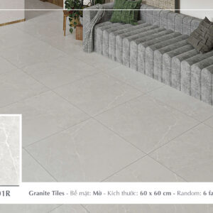Gạch Lát nền Ý Mỹ 60x60 P65101R