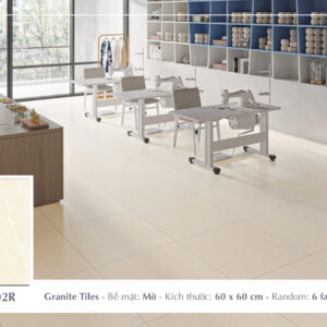 Gạch Lát nền Ý Mỹ 60x60 P65102R