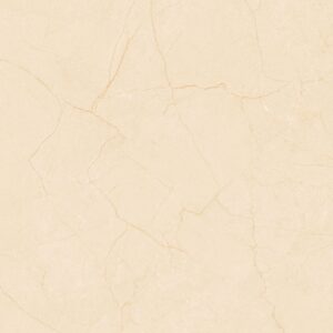 Gạch Lát nền Ý Mỹ 60x60 P68069C