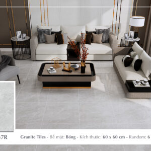 Gạch Lát nền Ý Mỹ 60x60 P68137R