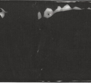 POWER GRAPHITE GLOSS 6,2X12,5