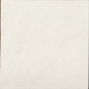 CONTEMPORARY COCONUT MILK 15X15