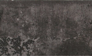 TENNESSEE BLACK 5,2X16,1