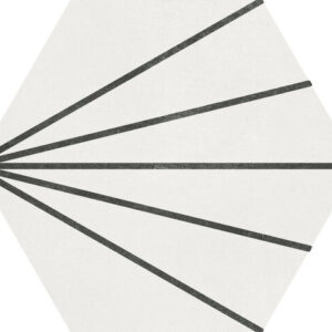 SUNNY COCONUT MILK 23X26