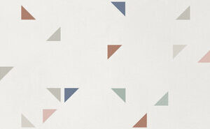 ORION COCONUT MILK 25X75