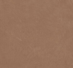 ARGILLAE TERRA RECT 60X120