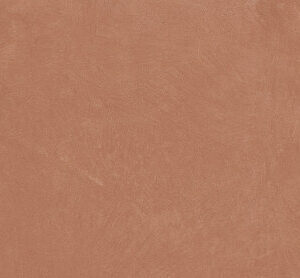 ARGILLAE CORAL RECT 60X120