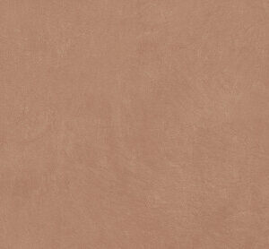 ARGILLAE GOBI RECT 60X120