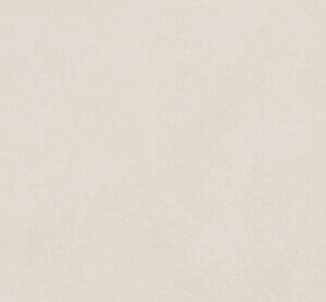 ARGILLAE NEVE RECT 60X120