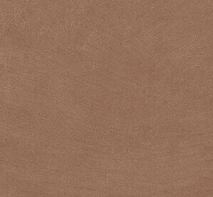 ARGILLAE TERRA RECT 30X60