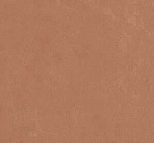 ARGILLAE CORAL RECT 30X60