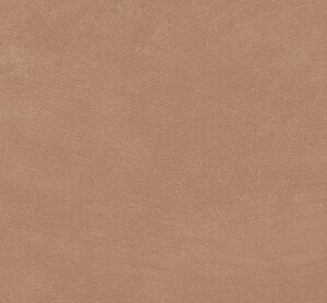 ARGILLAE GOBI RECT 30X60