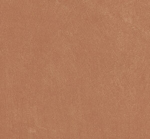 ANTI-SLIP ARGILLAE CORAL RECT 30X60