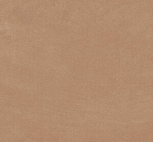 ANTI-SLIP ARGILLAE GOBI RECT 30X60