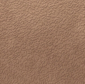 NISUS TERRA RECT 60X120