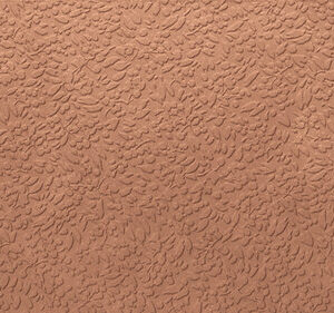 NISUS CORAL RECT 60X120