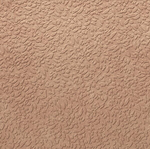 NISUS GOBI RECT 60X120