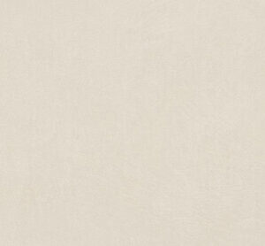 ANTI-SLIP ARGILLAE NEVE RECT 60X120