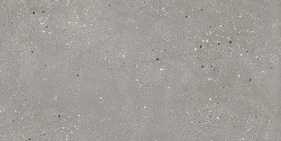 AMA CENERE RECT 60X120