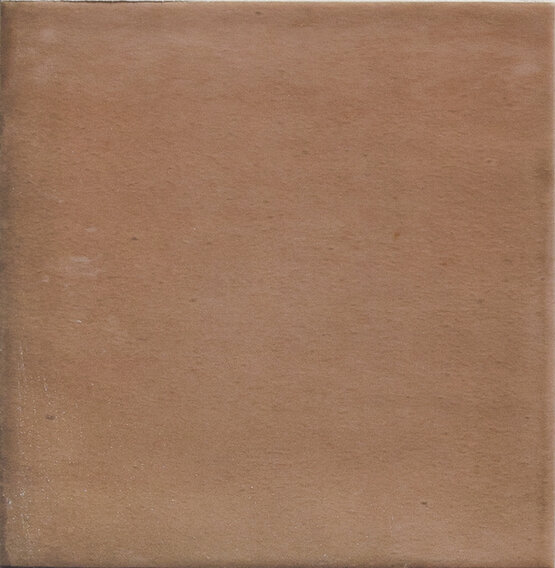 CLAY SALMON 12,3X12,3