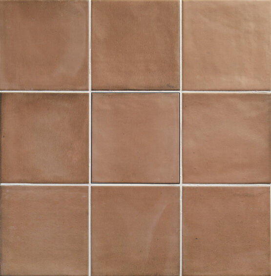 CLAY SALMON 12,3X12,3 - Ảnh 4