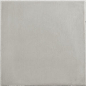 FAYENZA GREY 12,3X12,3