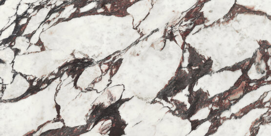 MEDICEA MARBLE POL RECT 60X120