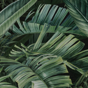 DECOR TAMAN II 120X280