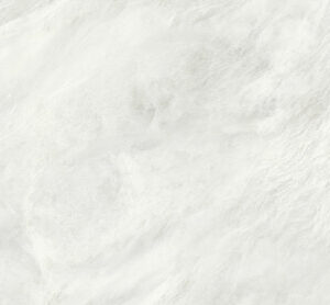 ALEXANDRIA WHITE MATT RECT 60X120