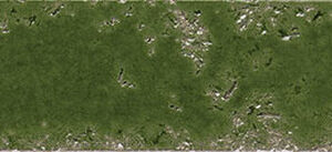 PUKKA CROCODILE GREEN 6,4X26